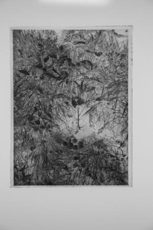 Glass negative