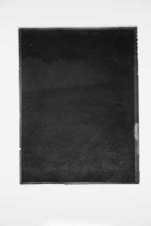 Glass negative