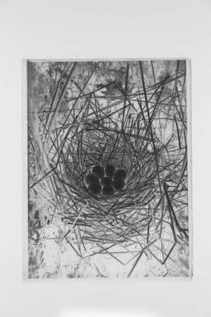 Glass negative
