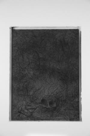 Glass negative