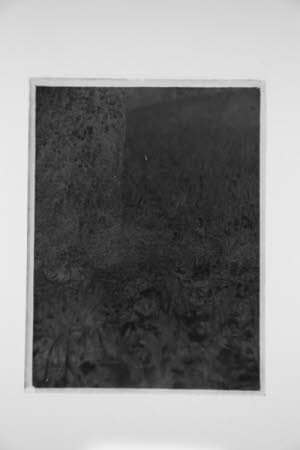 Glass negative