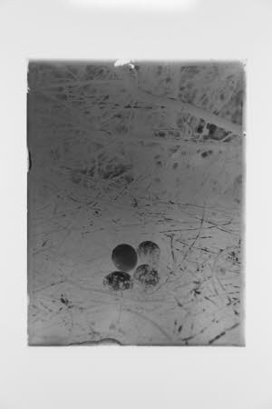 Glass negative