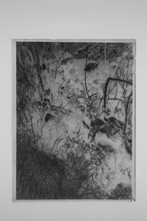 Glass negative