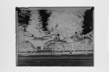Glass negative