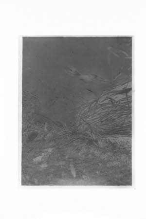 Glass negative
