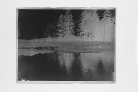 Glass negative
