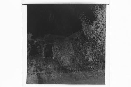 Photographic negative