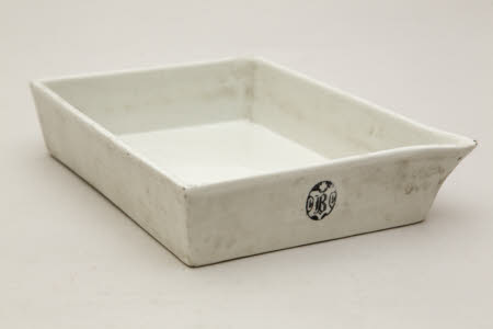 Developing tray