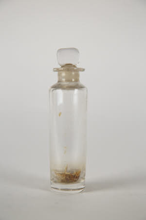 Bottle and stopper