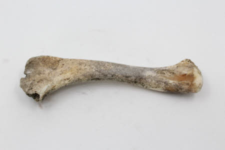 The Workhouse and Infirmary © National Trust