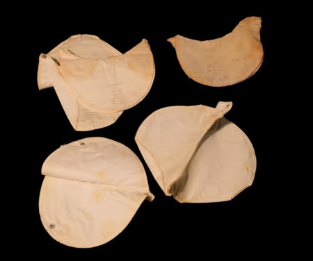 Dress protector