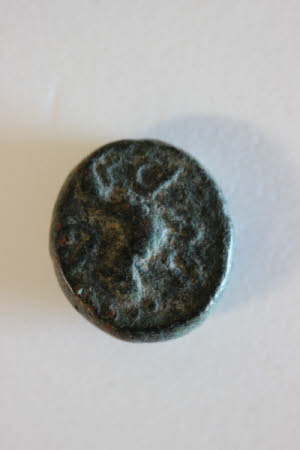 Coin