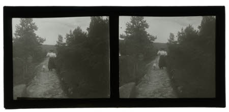 Slide photograph