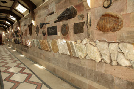 Geological collection