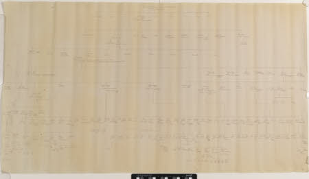 Family tree