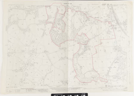 Revision of 1935