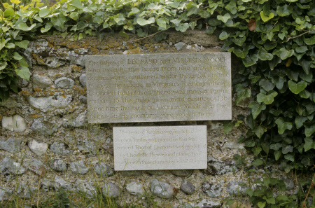 Plaque