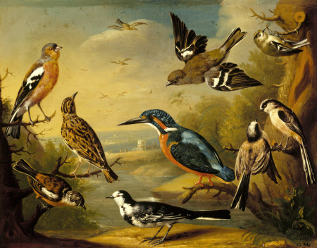 Bird - Search Results  V&A Explore the Collections